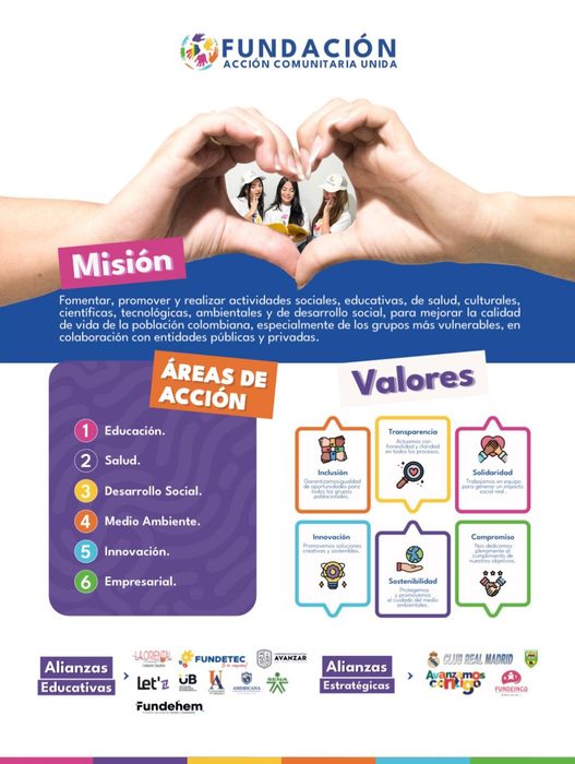 Página del brochure con la misión, las áreas de acción, los valores y las alianzas